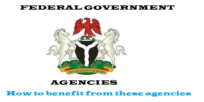 Read more about the article Federal Government Agencies: How to benefit from these essential ones
