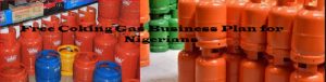 Read more about the article Free Cooking Gas Retail Business Plan for Nigerians
