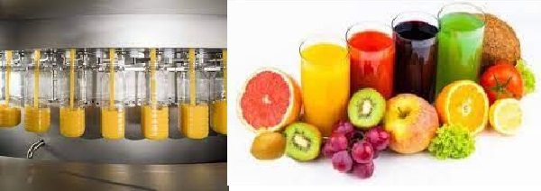 How to Write Fruit Juice Making Business Plan with Feasibility Analysis