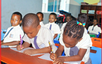 How to Write a Primary School Business Plan