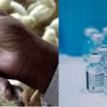 Amazing Specifics of Poultry vaccine administration and medication dosages