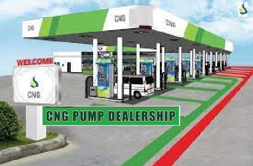 Get a Fantastic Medium-Scale CNG Plant Business Plan for Nigerians