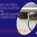 11 Profitable businesses in CNG System Installation and Maintenance
