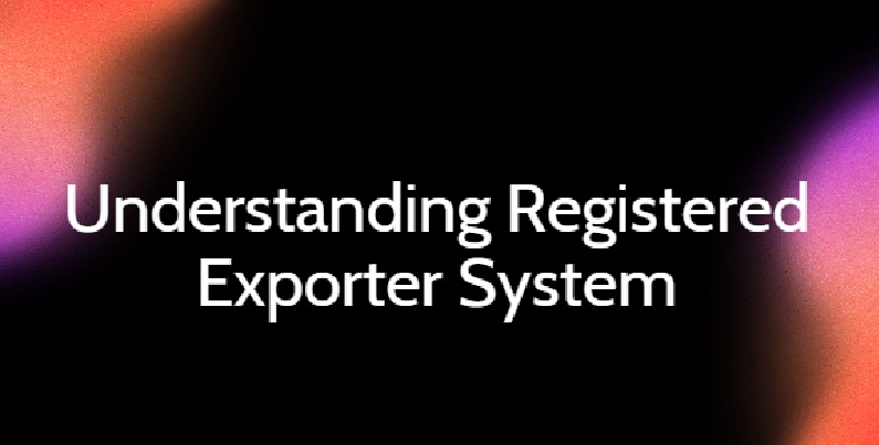 What is the Registered Exporter System REX all about?