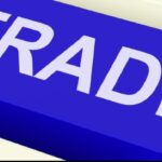 What is the Registered Exporter System REX all about?